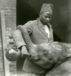Junger afrikanischer Elefant Kiberenge wird von Darisha getränkt, während Syed Ali im Hintergrund zusieht, London Zoo, September 1923